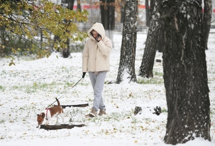В Москве продлили жёлтый уровень погодной опасности из-за гололедицы