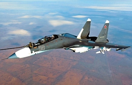 Эксперт усомнился, что причиной крушения Су-30СМ в Сирии стало попадание птицы в двигатель