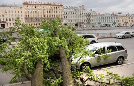 Сильный ветер в Санкт-Петербурге повредил семь автомобилей