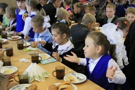 Депутат Думы Екатеринбурга призвала отменить бесплатное питание в младших классах