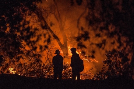 Жертвой лесных пожаров в Калифорнии стала 70-летняя женщина