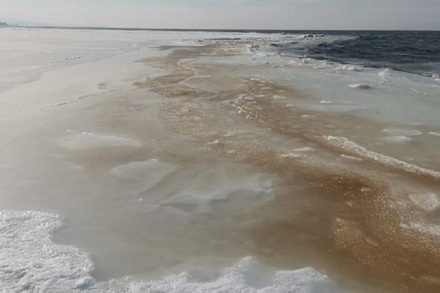 Морская вода в прибрежных бухтах Владивостока стала бурой