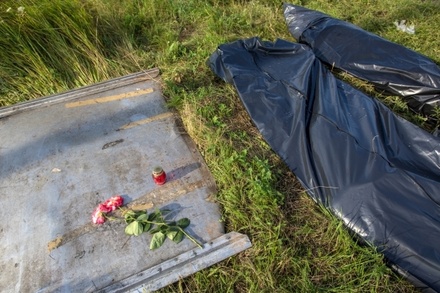 В ДНР сообщили об отправке в Торез тел 247 жертв крушения Boeing