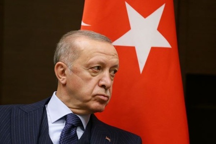 Эрдоган заявил, что не верит в возможность создания общей армии ЕС