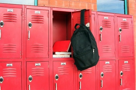 Депутат Госдумы предложил поставить в школах шкафчики для личных вещей  учеников