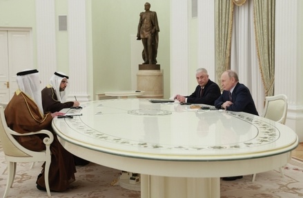Владимир Путин встретился с вице-премьером ОАЭ