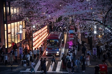 Ограничения на въезд в Японию снимут с 8 мая