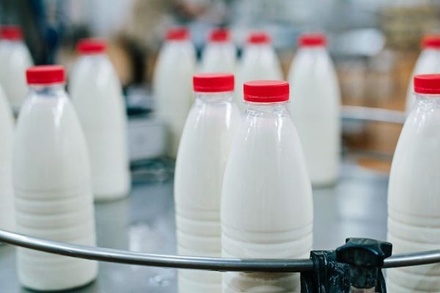 Россельхознадзор смягчил ограничения на ввоз молока из Белоруссии