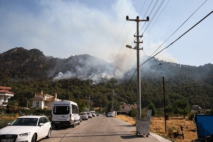 В Турции арестовали шесть человек по подозрению в поджоге лесов