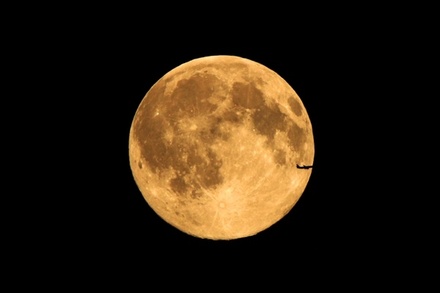 Этой ночью жители Москвы смогут увидеть «голубую Луну»