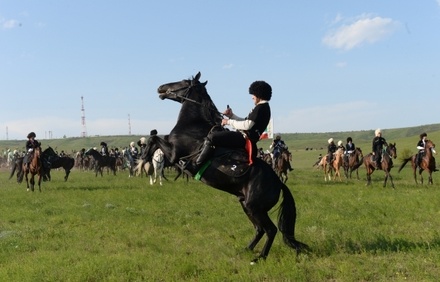 В Минздраве указали на высокие показатели фертильности у кавказских мужчин 