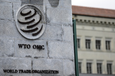 Минэкономики не поддержало законопроект о выходе России из ВТО
