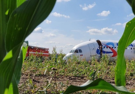 Аварийно севший на кукурузное поле А321 начали разрезать на части