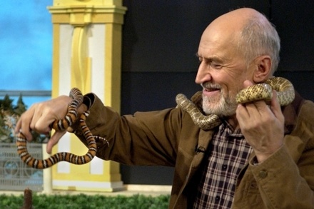 Николай Дроздов рассказал, что нужно делать при встрече со змеёй в городе