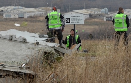 В Совфеде раскритиковали идею трибунала по упавшему под Донецком Boeing