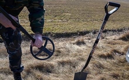 Госдуме напомнили о непринятых поправках в закон о металлоискателях после ЧП в Кратове