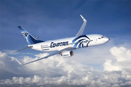В EgyptAir рассказали подробности инцидента с пассажиром на борту самолёта