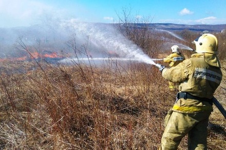 Губернатор Приамурья предложил ужесточить ответственность за природные пожары