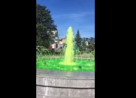 Городской фонтан в Калининграде забил зелёным антифризом