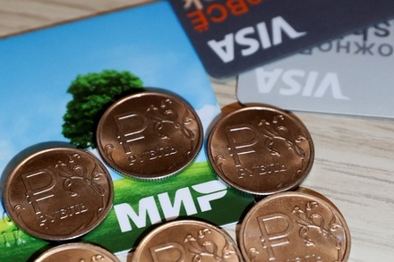 Экономист Евгений Коган назвал условие для возвращения Visa и MasterCard в Россию
