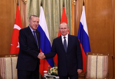 Путин и Эрдоган обсудят строительство атомной станции «Аккую»