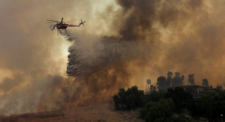 Число жертв пожаров в Калифорнии достигло 36