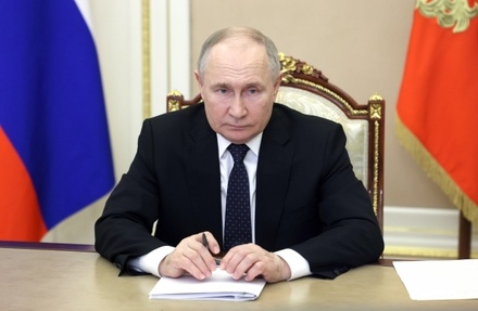 Путин: Россия сотрудничает с Африкой в области предупреждения эпидемий