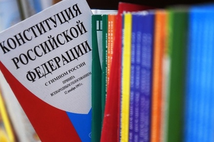 В России создали детскую конституцию в стихах и картинках