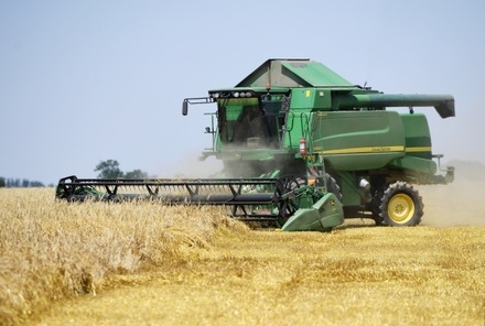 Аналитики спрогнозировали России рекордные урожаи пшеницы