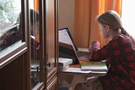 Власти Москвы объяснили причины перевода старшеклассников на дистанционное обучение