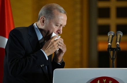 Власти Турции продолжат работу над возобновлением «зерновой сделки»
