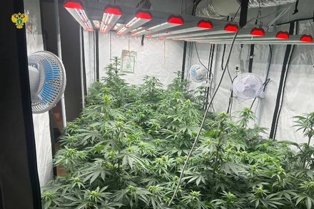 В Новой Москве у мужчины изъяли более килограмма марихуаны