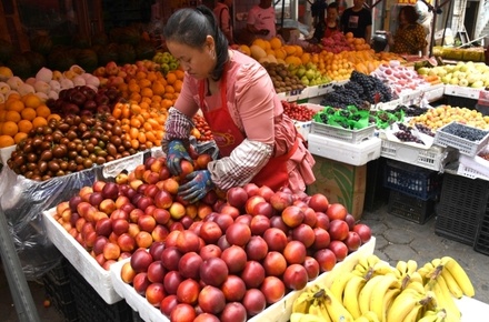 Россия запретила ввоз плодовых культур из Китая