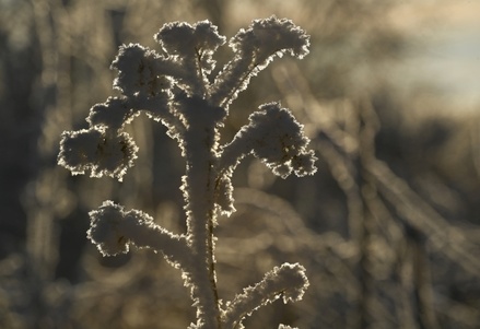 Синоптики предупредили о резком похолодании в регионах Центральной России