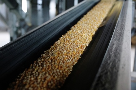 Литва закупила российское зерно после перерыва в шесть месяцев