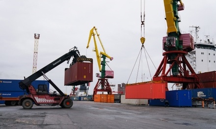 Бизнесмен Петропольский: параллельный импорт нужно продлить, есть угроза тысячи дел за контрафакт