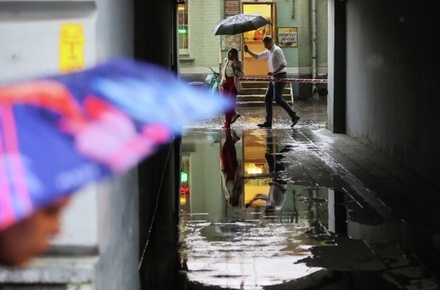 МЧС предупредило о дожде и грозе в ближайшие часы в Подмосковье