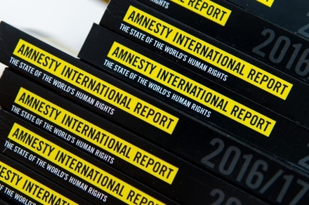 Amnesty International раскритиковала ситуацию с правами человека в России