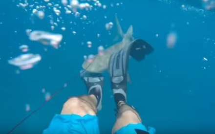 Американцу удалось снять на видео нападение на него акулы