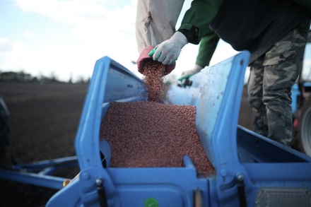 Власти Литвы призвали на уровне ЕС запретить ввоз зерна из России и Белоруссии