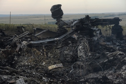 На месте крушения Boeing на Украине нашли тела 121 погибшего