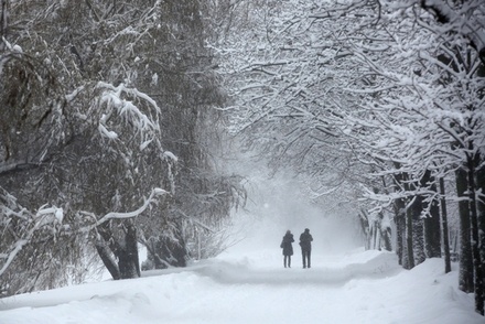 Сильные снегопады ожидаются завтра в 12 регионах Центральной России