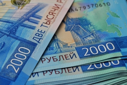 Экономист сообщил, что госзапреты на кредиты «препятствуют» мошенничеству