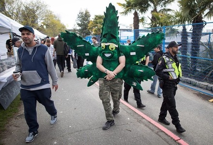 В Канаде официально легализовали употребление марихуаны