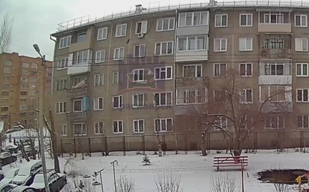 В Красноярске мужчина выбросил собаку из окна квартиры на пятом этаже