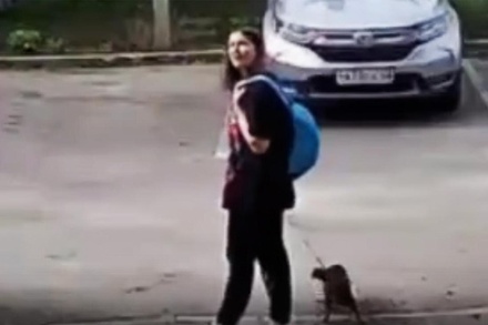 Полиция Башкирии начала проверку после видео с избиением собаки