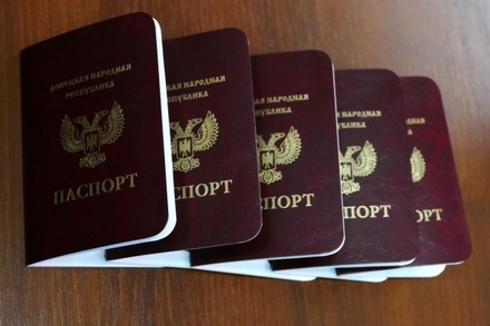 Французов, испанцев и россиян назвали лидерами по получению паспортов ДНР