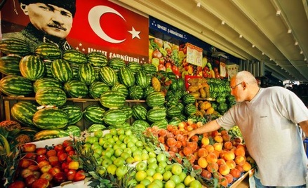 В Турции опровергли информацию о новых ограничениях в торговле с Россией