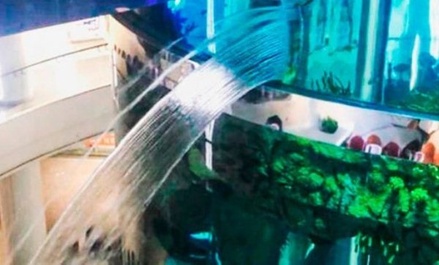 В торговом центре «Океания» в Москве прорвало огромный аквариум