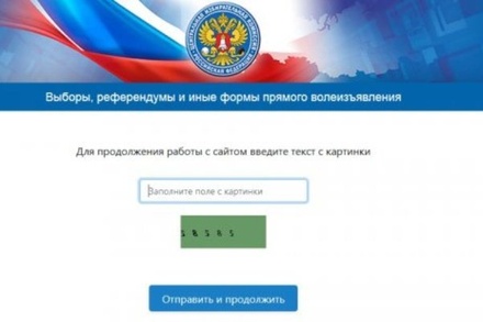 Эллу Памфилову попросили убрать капчу с сайта Центризбиркома